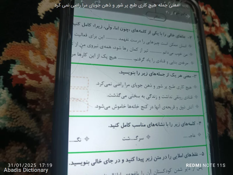 معنی جمله هیچ کاری طبع پر شور و ذهن جویای مرا راضی نمی کرد